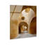 Honeyed Vaults II Print-1422631875-1533418508