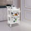 3 Tiers Movable Beauty Salon Storage Cart With Drawer and Wheels-109742824