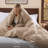 Bedsure Microfiber Duvet Cover California King Size - Prewashed Cotton-Like Extra Soft Bedding Set (Set of 3)-920338774-907706772