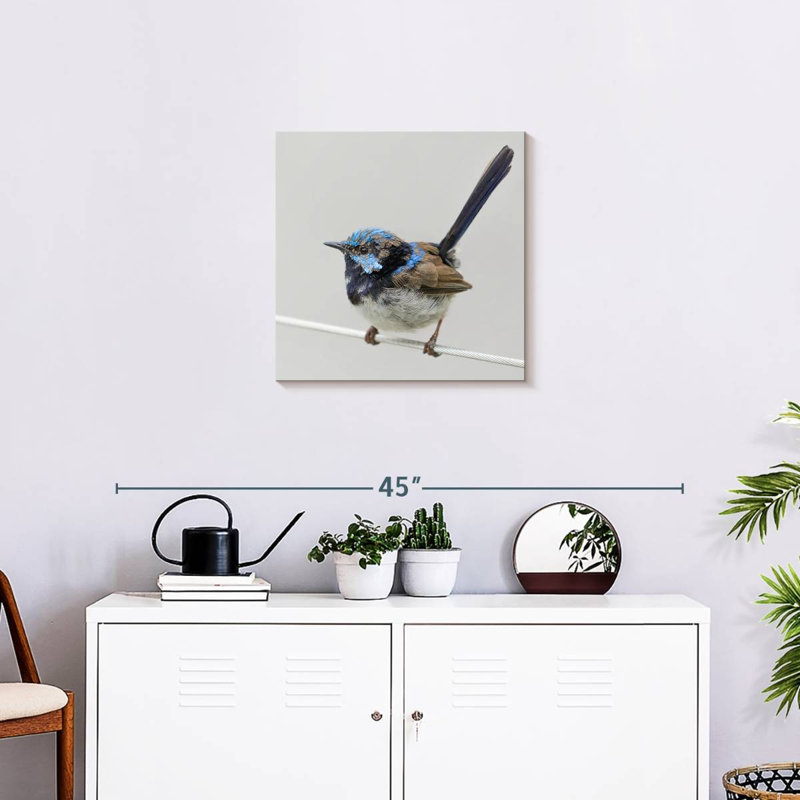 Brampt Bluebird Close Up, 20" H x 20" W