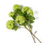 Faux Floral Arrangement in Vase-1455696055