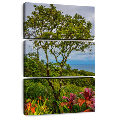 Harnek, Hawaï, arbres tropicaux