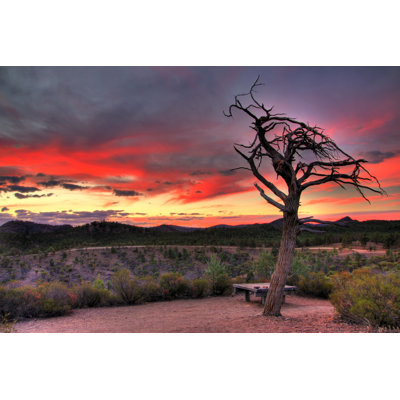 Flinders Ranges National Park by Totajla - Wrapped Canvas Print