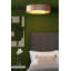 Analiha Plastic Flush Mount-184834609