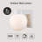 Chilhowie Glass and Aluminium Wall Light-39779844