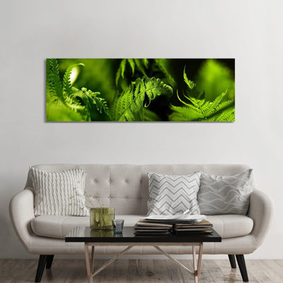 Fern - Wrapped Canvas Panoramic Print