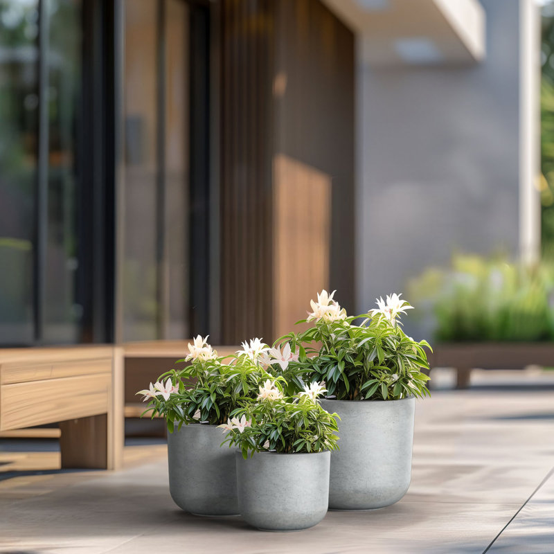 Ensemble de pots à fleurs en ciment 3 pièces Jacolies, Gris