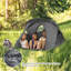 Alekhya 2 Person Tent-617289276