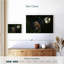 Hibou fauve Brampt-108816931