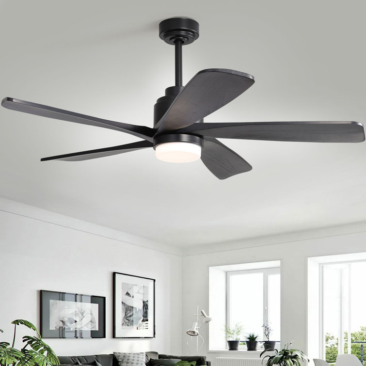 Damecia 52'' Ceiling Fan with LED Lights