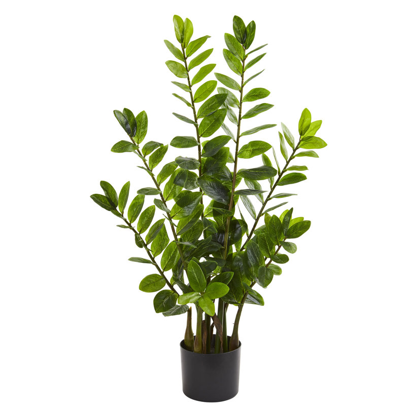Damali Zamioculcas artificiel en pot, H 36 po x l 20 po x P 12 po