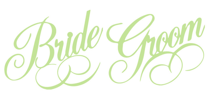 Non-Wall Damaging Wall Decal, 11" H x 28" W x 0.01" D, Key Lime Pie