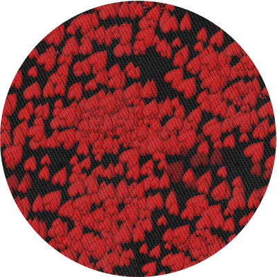 Indoor Rug