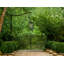 Max Outdoor Pendant-440180159