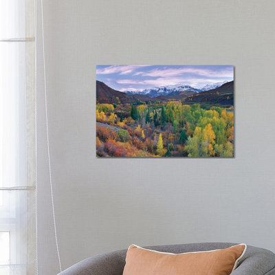 Quaking Aspen Forest In Autumn, Snowmass Mountain Near Quaking Aspen, Colorado by Tim Fitzharris - Wrapped Canvas Print