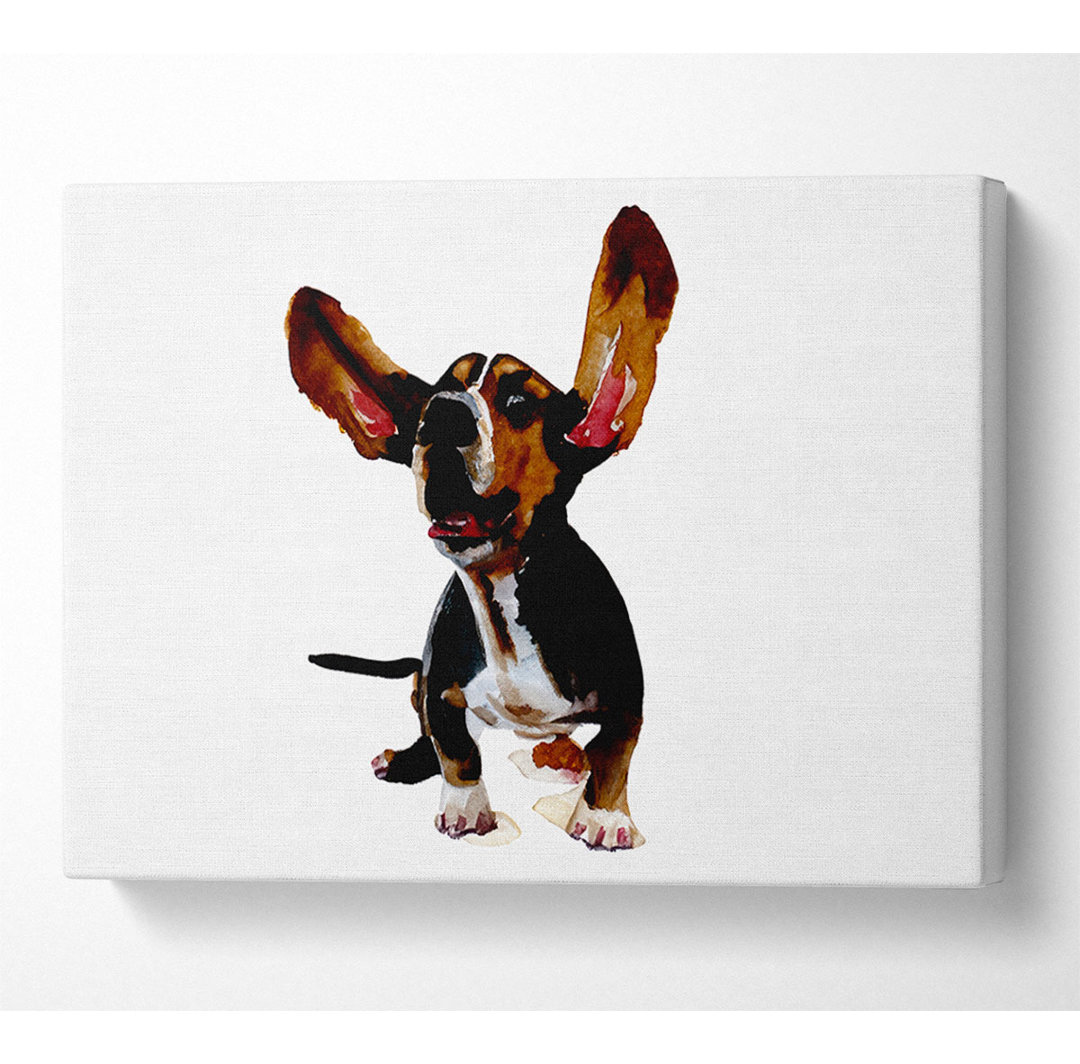 Bassett Hound Ohren - Kunstdrucke auf Leinwand