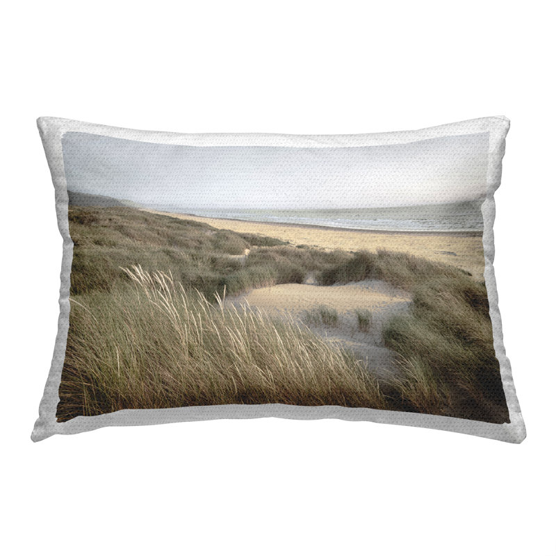Coussin d'extérieur Windblown Beach Grasses par Alan Majchrowicz