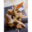 Plante eucalyptus à feuilles en soie-977680897-977680896