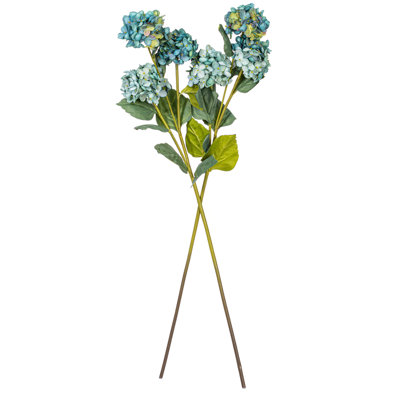 Hydrangea Stem