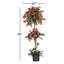60'' Faux Flowering Topiary in Planter