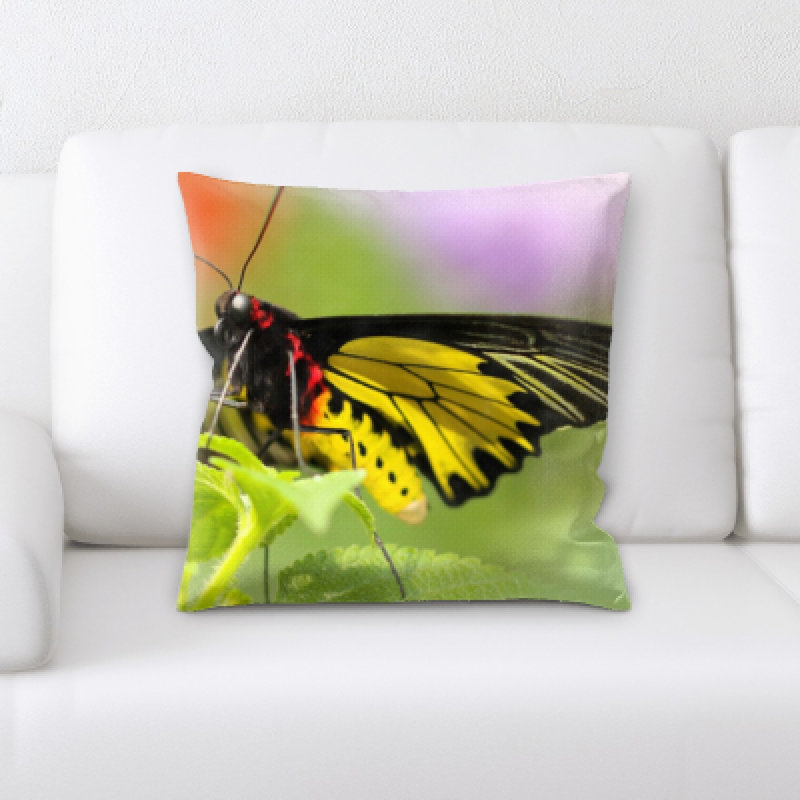 Microsuede Throw Pillow