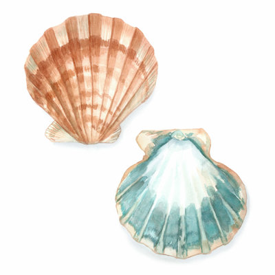 Coquilles d'aquarelle I