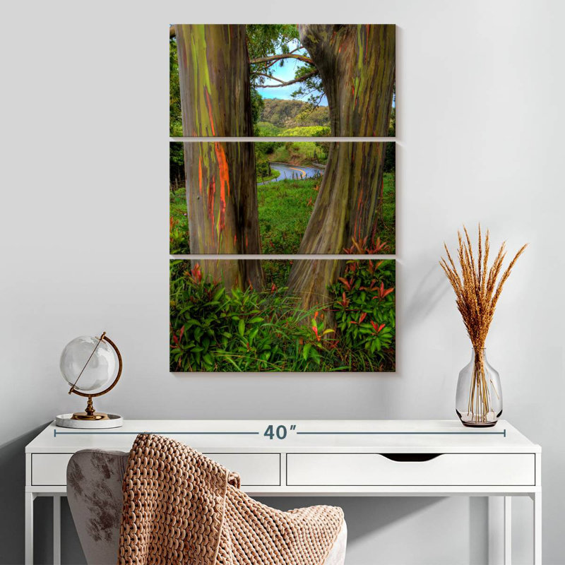 Harnek Roadside Rainbow Eucalyptus, 32" H x 20" W
