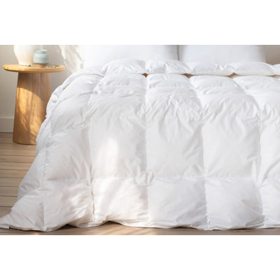 Insert de couette en duvet de canard blanc extra chaud 700