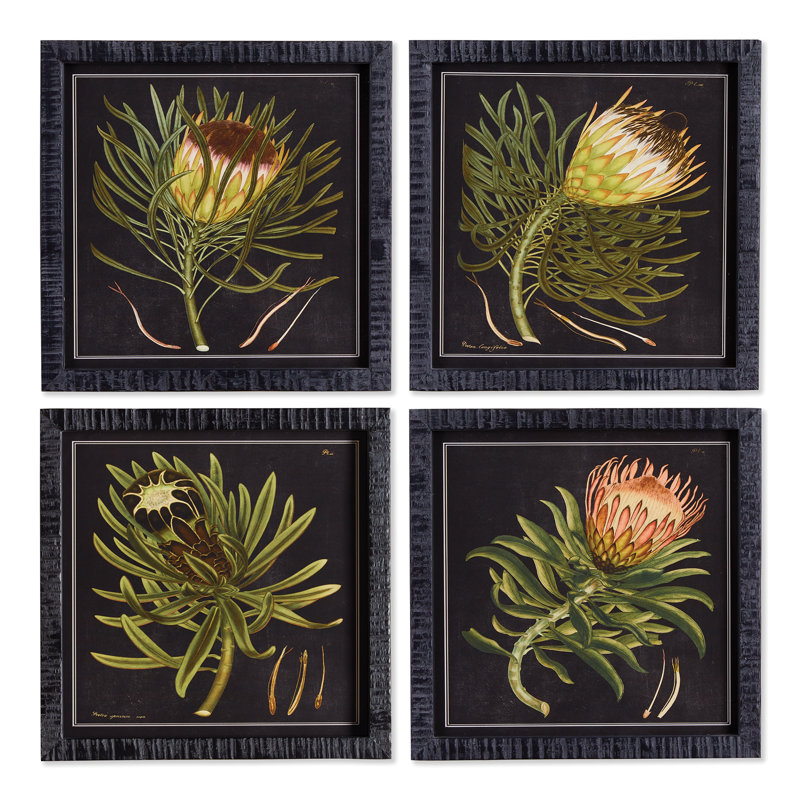 Pinar Protea - Ensemble de 4 reproductions de cadres photo sur papier