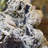 Botryoidal Mimetite with Aragonite - Bilbao Mine, Mexico