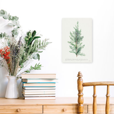 Juniperus 1 Piece Wrapped Canvas Wall Art