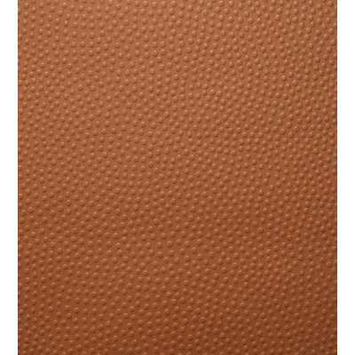 Les Papiers Polka Dots Wallpaper Double Roll