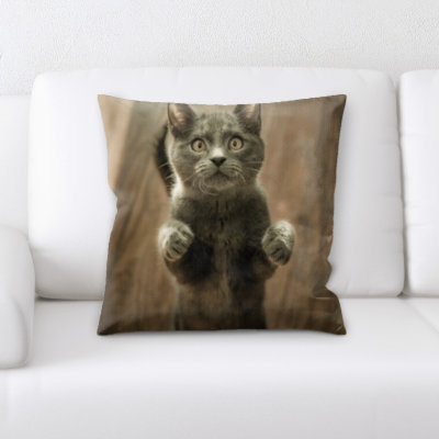 Coussin pour chat portrait Lassiter