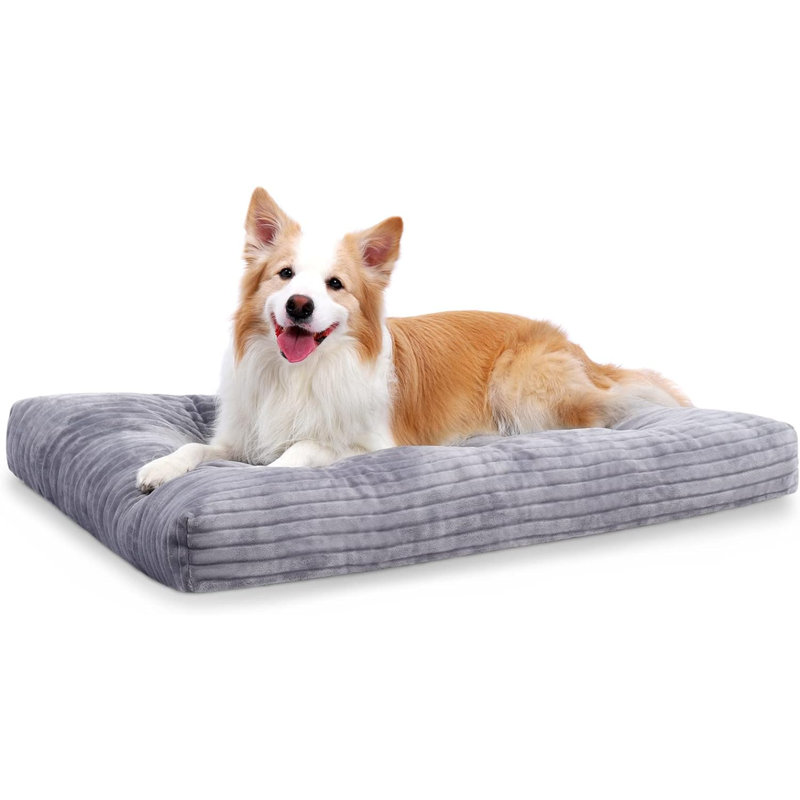 Lits pour chien Eibhlis, H 3,5 po x l 23 po x P 35 po, Gris clair