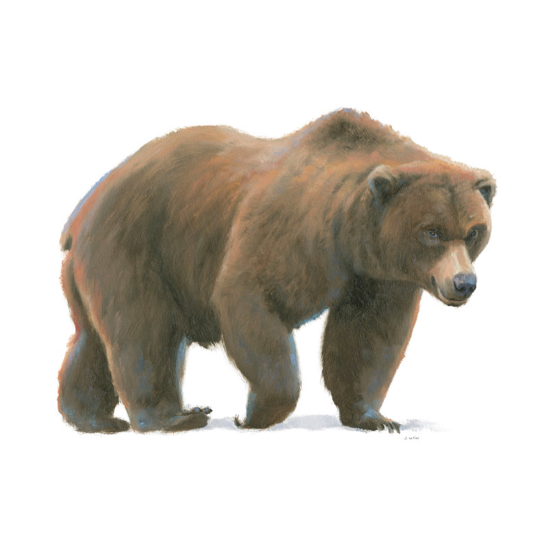Northern Wild I Crop by James Wiens - Painting Print, 51 cm H x 76 cm W, Wrapped Canvas