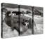 3 Piece Print on Canvas-2048589182