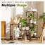 Plant Stand