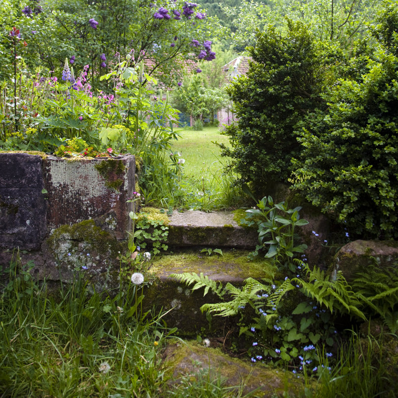 Natural Green Garden by Mlenny - Wrapped Canvas Print, 91cm H x 91cm W x 3.8cm D