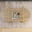 Table basse ovale en verre au design moderne, longueur 41 x largeur 21 x hauteur 17 pouces, pour le salon, structure à double couche avec fonction de rangement, verre transparent et panneau de fibres à densité moyenne brun