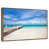 Floating Frame Gold selected
