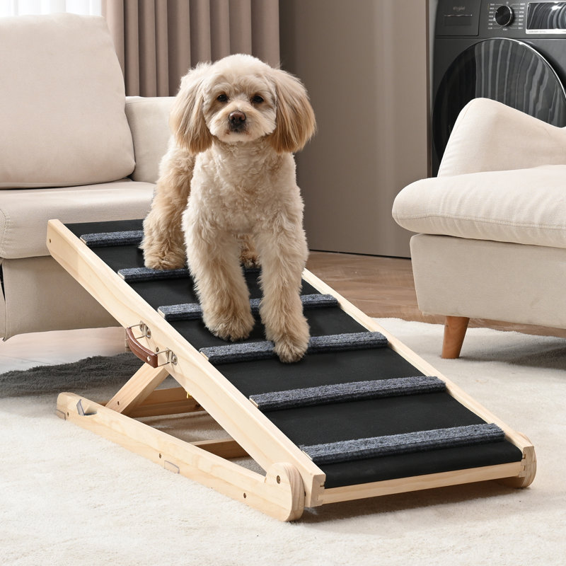Rampe pliante pour chien Tucker Murphy Pet ™, 47,2 po, Moyen (H 25,59 po x l 15,7 po x P 41,3 po)