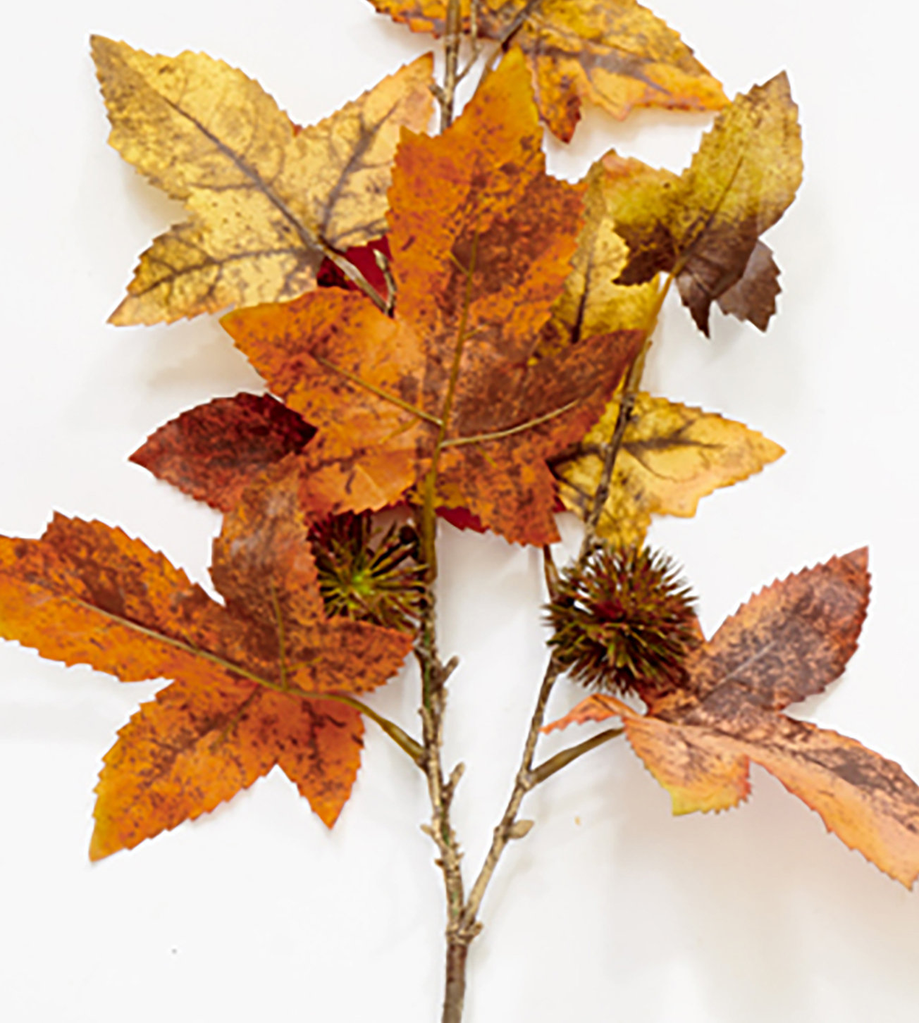 Maple Leaf Floral Stems