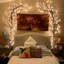 Anjenette LED Lighted Trees & Branches