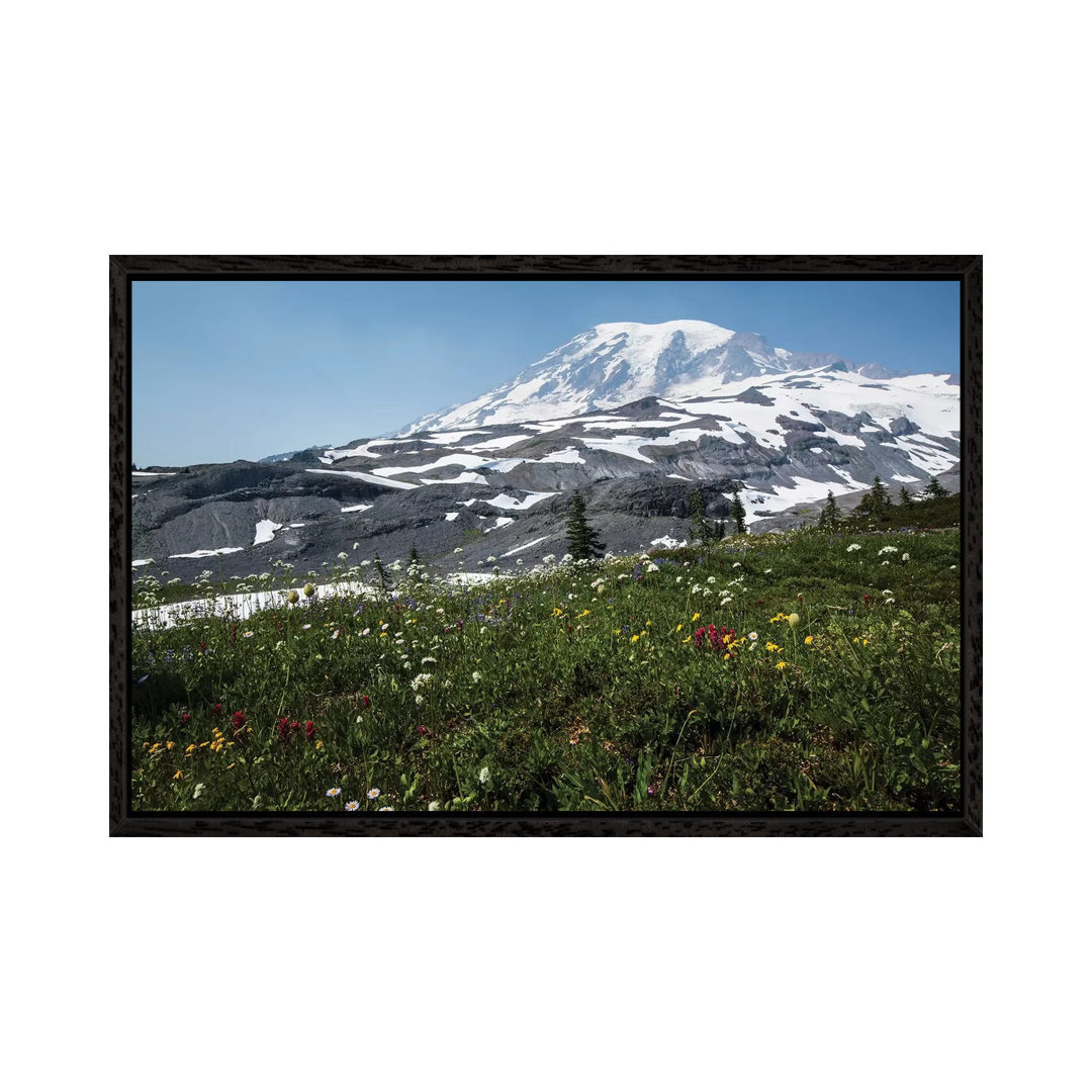 Nahaufnahme von Wildblumen, Mount Rainier National Park, Washington State, USA I