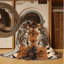  Tapis lavable Tigers Big Cats-984622953