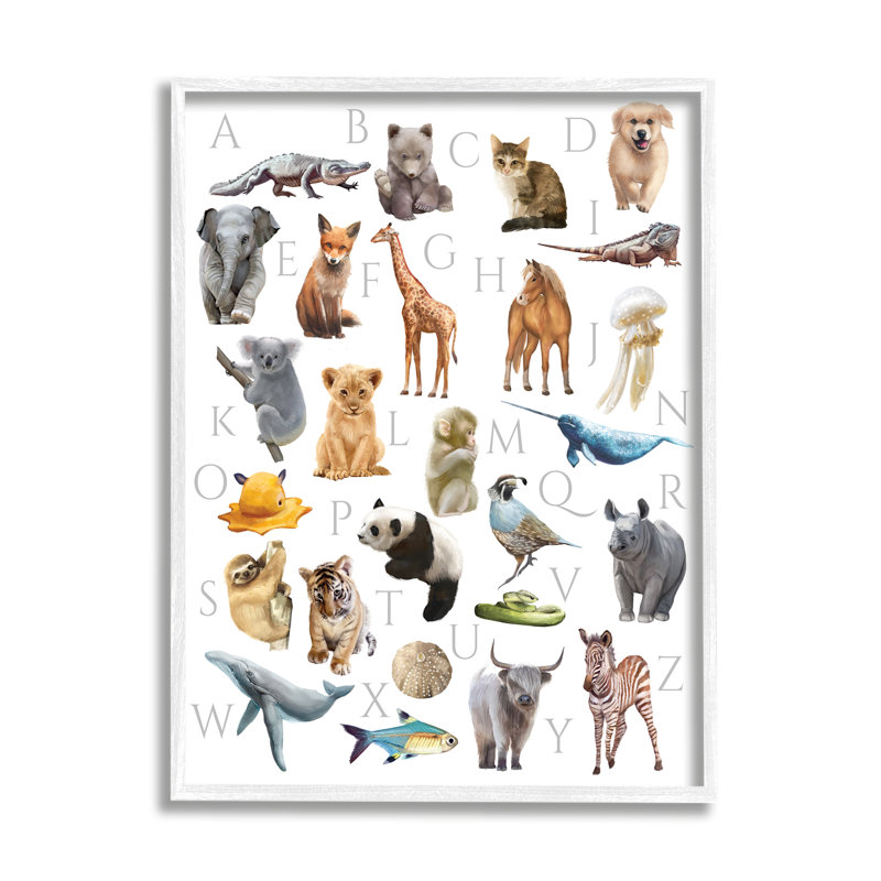 Animaux de l'alphabet traditionnel ABC - impression, H 14 po x l 11 po, Giclée encadrée blanc bord de mer