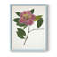 Reproduction encadrée pressée Camellia II - bois massif-946835294-946835291