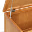 Accent Cabinet
