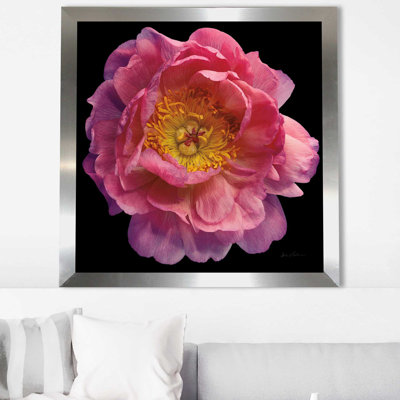 Floral majestueux II - photographie