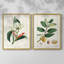 Reproduction encadrée Turpin Tropical Botanicals IX-Premium - prête à être accrochée-1976801023-1976801020